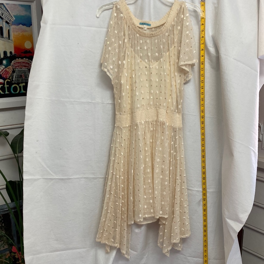 Lace dress with slip. Size 4/6 Anthropologie